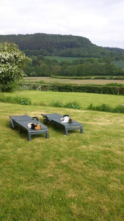Leintwardine Upper Letton Farm Bed & Breakfast エクステリア 写真