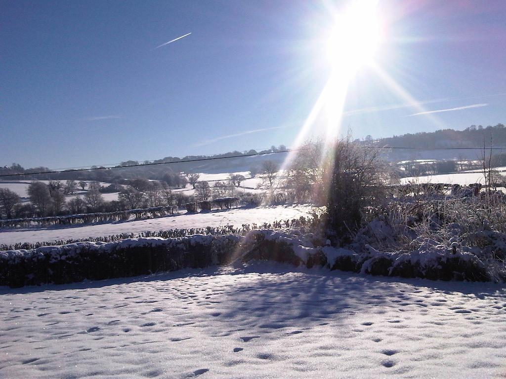 Leintwardine Upper Letton Farm Bed & Breakfast エクステリア 写真