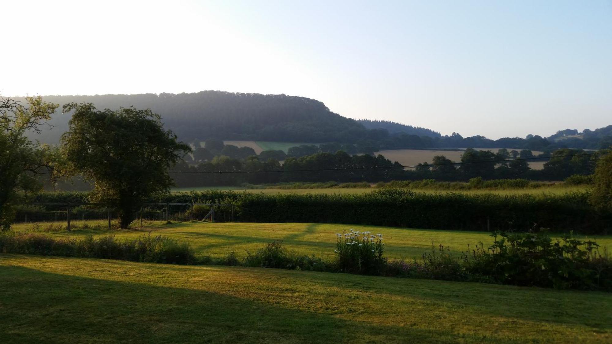 Leintwardine Upper Letton Farm Bed & Breakfast エクステリア 写真